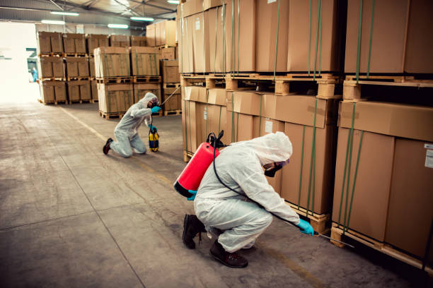 Pest Control Cost in Medford, NY