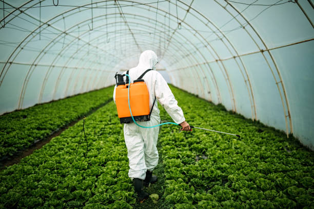 Best Pest Control Near Me  in Medford, NY