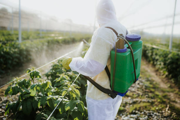 Best Residential Pest Control  in Medford, NY